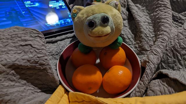 a bowl of four mandarins with my peepy plushie, lichen, standing guard