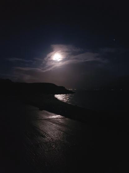 Photo of beach at night with full moon