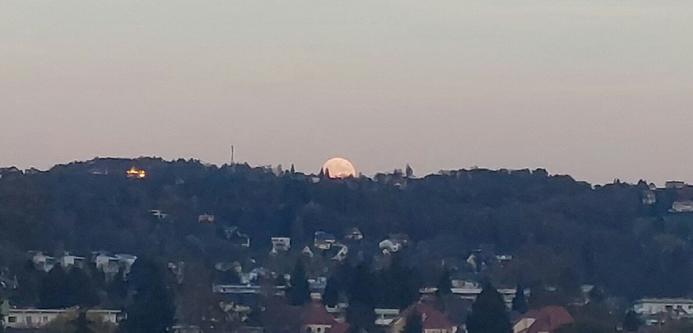 Aufgehender Mond über einer Kleinstadtsiedlung