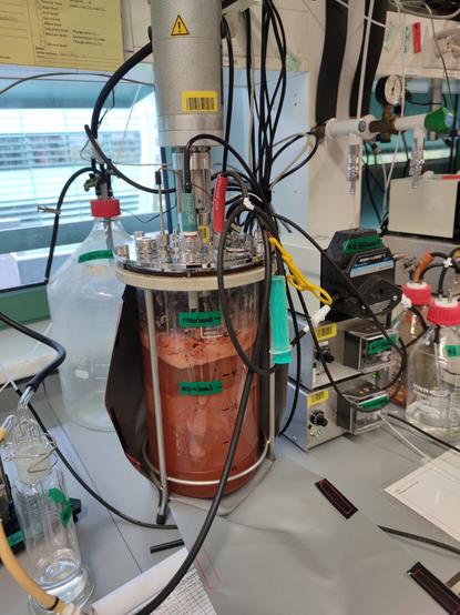 Marine #anammox bioreactor