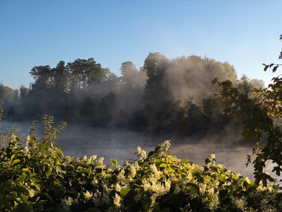 Die Wertach in der Morgensonne scheint zu dampfen. Die Nebelschwaden verfangen sich im Auwald des gegenüberliegenden Ufers und geben der Szene einen verträumten Charakter.