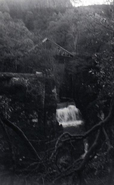 Black and white photo of a bridge over a waterfall, the bridge itself is surrounded and partially hidden by forest.  In the foreground there are the limbs of a fallen tree.