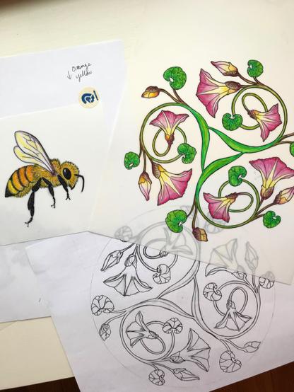 original paintings of morning glory flowers in a triskelion design, and a honey bee; also a rough sketch of the triskelion design in black and white