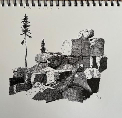 pen and ink drawing of a rock formation and pine trees in the background