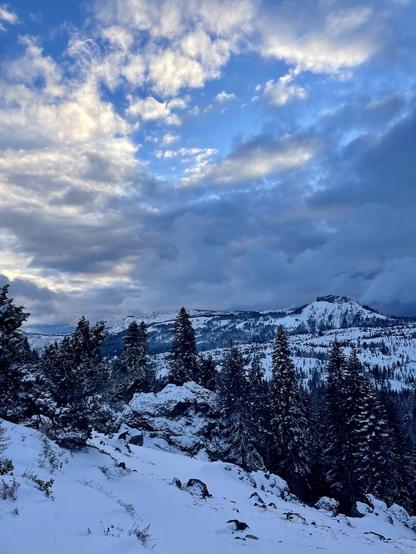 view of snowy peaks, forest, and sky