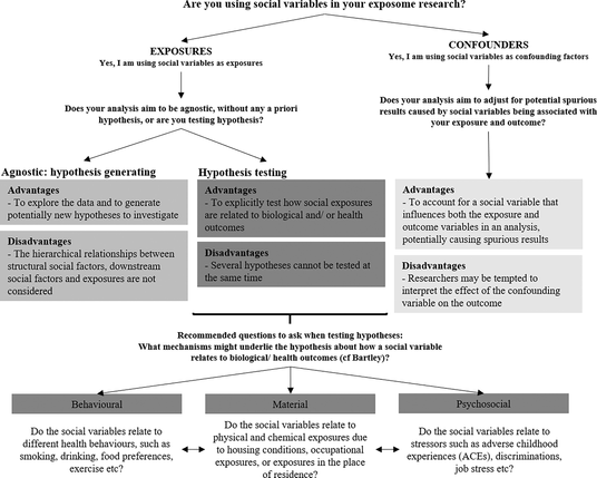 Flow chart describing Recommendations regarding the use of social variables in the exposome context. 
- If the variables are exposures
- If the variables are confounders
-If the approach is hypothesis testing
-If the approach is agnostic