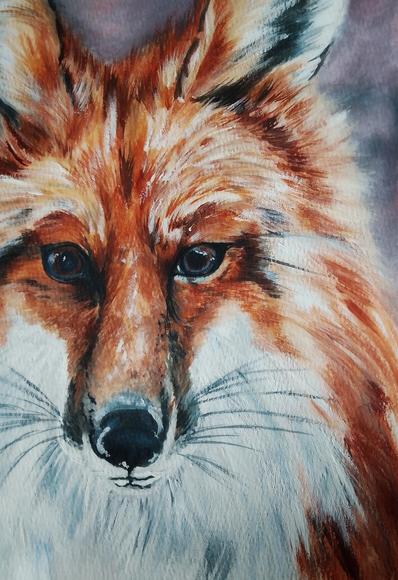 Close up of Ferdinand Fox