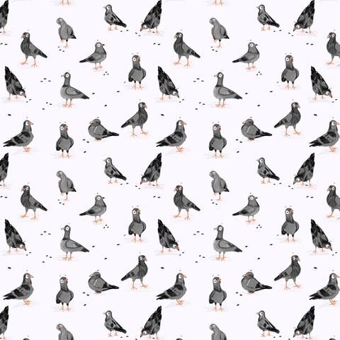 Pigeons pattern