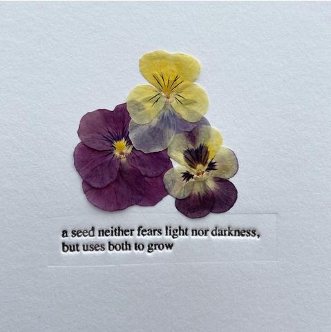 Three pressed purple and yellow pansies above debossed text reading "a seed neither fears light nor darkness, but uses both to grow"