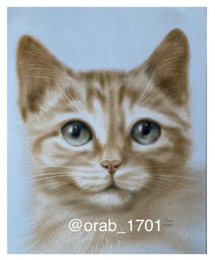 dry oil realistic portrait of a ginger cat.