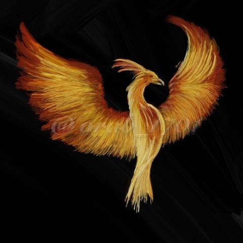 digital painting of a fiery phoenix with its wings spread wide.