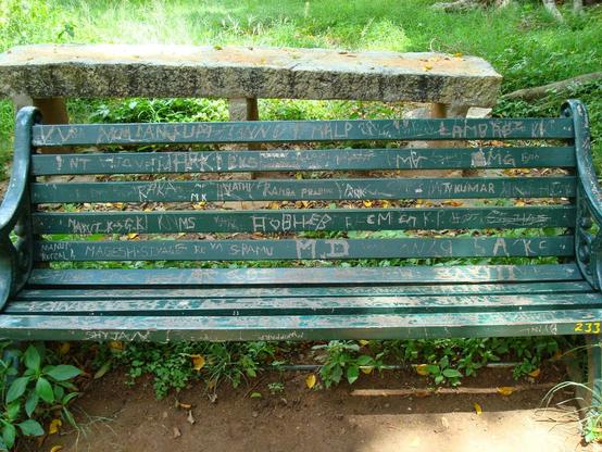 A sitting bench with lots of names craved into it