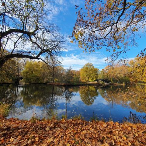 Teich mit zwei Brücken aus Holz im Johannapark Leipzig, blauer Himmel, weiße Schleierwolken, buntes Herbstgewusel am Boden und den Bäumen