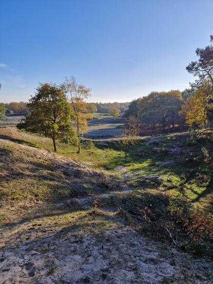 Uitzicht vanaf een heuvel over een duin en bosgebied