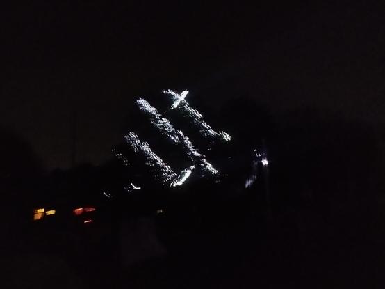 Eine projeziertes weißes Linien-Muster auf einem großen Baum.