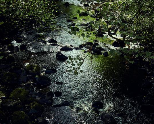 picture of the river oude flowing through a wooded area  in autumn with the sun shining on the water