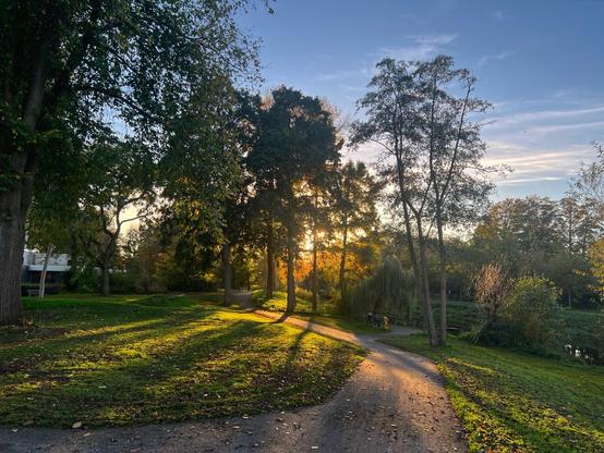 Bomen aan de klopvaart, zonnestralen verlichten het grasveld tussen de schaduwen door