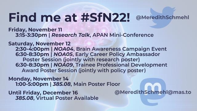 Computerized image of a person facing to the side with their brain visible. Text: Find me at #SfN22. Friday, November 11. 3:15 to 3:30 PM. Research talk. APAN Mini Conference. Saturday, November 12. 2:30 to 4:00 PM. NOA 4. Brain Awareness Campaign Event. 6:30 to 8:30 PM. NOA 5. Early Career Policy Ambassador Poster Session. Jointly with research poster. 6:30 to 8:30 PM. NOA 09. Trainee Professional Development Award Poster Session. Jointly with policy poster. Monday, November 14. 1:00 to 5:00 PM. 385.08. Main Poster Floor. Until Friday, December 16. 385.08. Virtual Poster Available. Twitter logo with handle: @MeredithSchmehl. Mastodon logo with handle: @MeredithSchmehl@mas.to.
