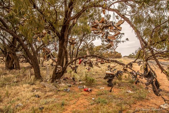 This image shows the "Boot Tree" with all kinds of boots and shoes, adults and childs hanging from it.