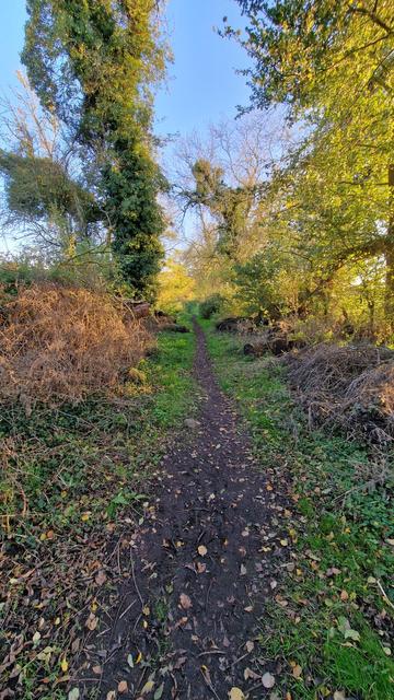 One of the many beautiful footpaths in the Vale of Pewsey in Wiltshire
