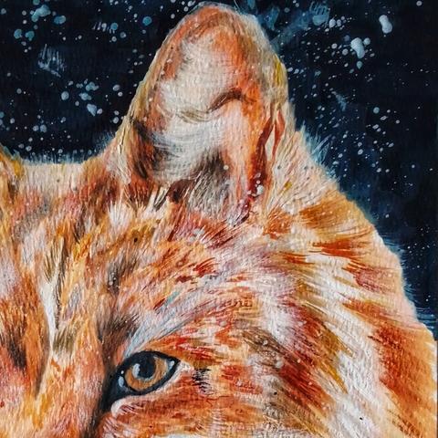 Detail of 'Fox In Snow ' - Watercolour