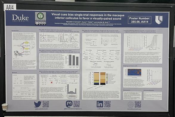 Photo of a neuroscience poster hanging on a poster board. The poster is called Visual cues bias single trial responses in the macaque inferior colliculus to favor a visually paired sound.