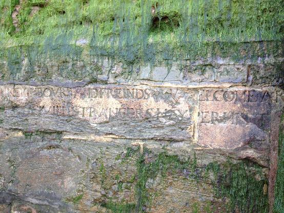 Photograph of the river wall at Greenwich. Greyish brown stone blocks are draped in green plants that can grow in an intertidal environment. Some of the stones have been reused and bear the fragmentary inscription 'Neighbours and Friends'.

Photo taken by N. Cohen and available on the Thames Discovery Programme Flickr account.

https://tinyurl.com/RiverWallTrinityAlmshouse