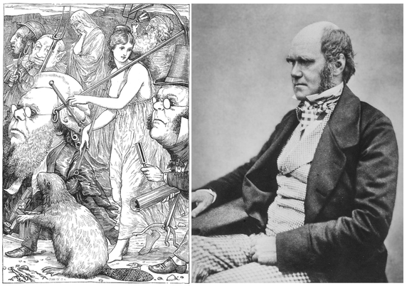 Comparison between Henry Holiday's illustration to the chapter "The Hunting" in Lewis Carroll's tragicomedy "The Hunting of the Snark" and a photo portrait of Charles Darwin.