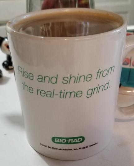 Coffee mug with lettering that reads, rise and shine from the real-time grind. Bio-rad, 2006.