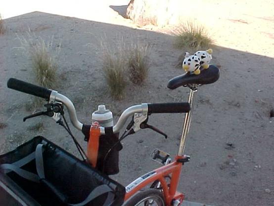 Peepy on a Brompton bike