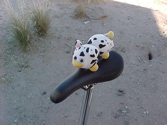 Peepy on a Brompton Bike Seat