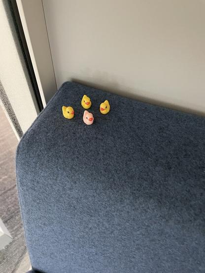 4 small plastic ducks arranged to observe the room from atop a couch in an office.