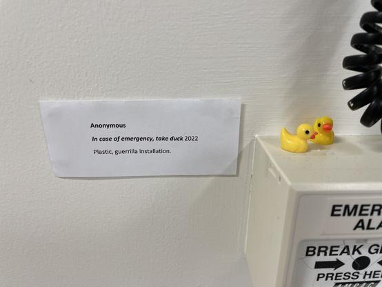 Two small ducks on top of an emergency alarm next to an art label which states:
Anonymous
In case of emergency, take duck 2022
Plastic, guerrilla installation.
