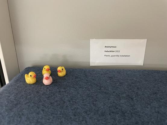 4 small ducks sitting on top of a couch with an art label stating:
Anonymous
Induction (spelled d u c k), 2022
Plastic, guerrilla installation.