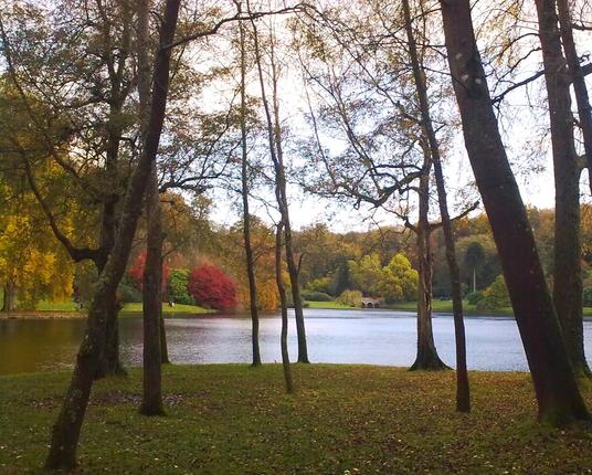 A peaceful view across the lake at Stourhead with one very prominent glowing red tree amongst other orange, yellow and lime coloured trees. No humans in sight! Nature at its most beautiful.