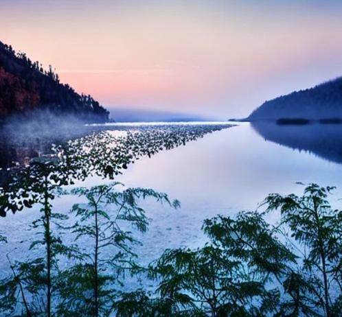 Misty morning on a lake