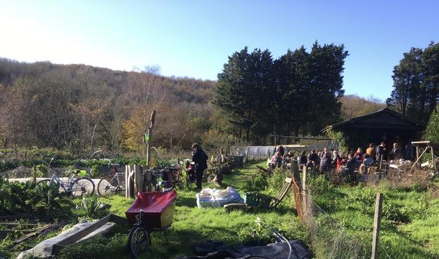 Organic smallholding, people, sunshine, clear blue sky