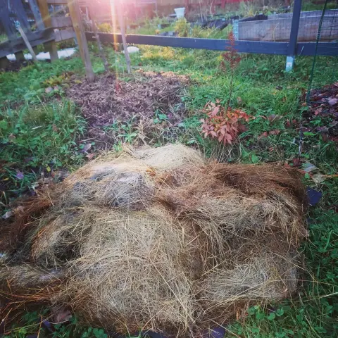 En liten trädgårdsdamm täckt av en hög med isolerande gräs.