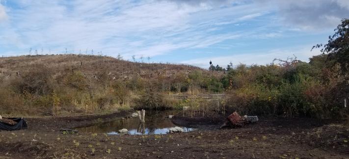 Ecosystem destroyed.