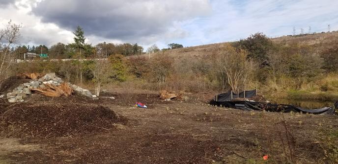 More of destroyed ecosystem.