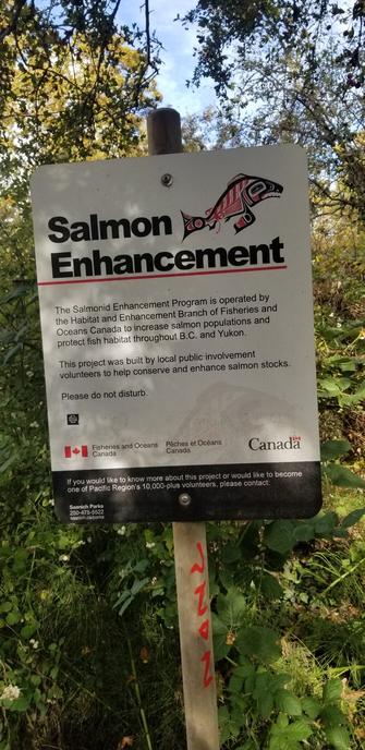 Bullshit sign.  DFO is ass backwards.  They're not protecting wild salmon.  Citizens are doing that.