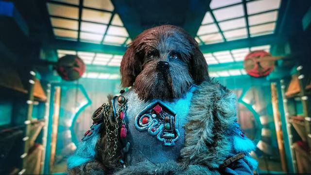 A photo of a customised doll. Representing the character of Karvanista from Doctor Who. He is a humanoid dog. He wears armour and furs. This image is shows him in his spaceship.