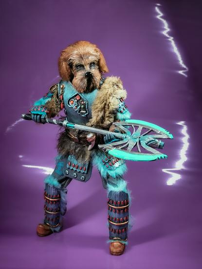 A photo of a customised doll. Representing the character of Karvanista from Doctor Who. He is a humanoid dog. He wears armour and furs. He is fully pose able.