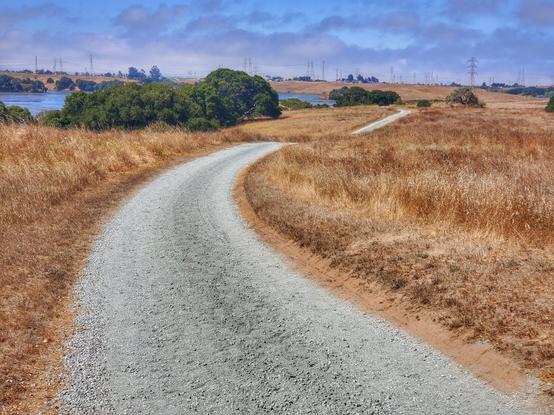 Golden fields with a gravel road winding along into the distance. Oak trees and the Slough waters are in the background.