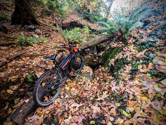hardtail mountain bike on a rough forest trail with logs laying across a creek