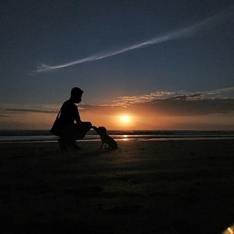 De izquierda a derecha: silueta de un hombre delgado (yo) de perfil y en cuclillas, dando la mano a su perrita pequeña (Kira) quien a su vez le da la patita. Casi al centro de la imagen, se ve el sol emergiendo del mar.
El cielo de fondo tiene algunas nubes alargadas y sus tonos van del naranja al púrpura.