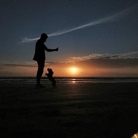 De izquierda a derecha: silueta de un hombre delgado (yo) de perfil y de pie, haciendo señales con sus brazos y manos hacia una perrita pequeña (Kira) que está iniciando un salto hacia arriba. Casi al centro de la imagen, se ve el sol emergiendo del mar.
El cielo de fondo tiene algunas nubes alargadas y sus tonos van del naranja al púrpura.
