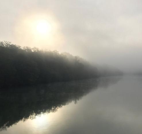 Sun rising from behind the silhouette of trees on the left bank of the river Rhine in the fog. The trees and and sun are reflected on the water.

Sonnenaufgang über die 
Silhouette des bewaldeten linken Ufers des Rheins im Nebel. Das Ufer und doe Sonne spiegeln sich auf dem Wasser.