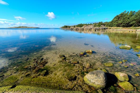 Merimaisema, edessä kirkasta vettä, pohja ja vesikasvit näkyy, pilvien heijastuksia.