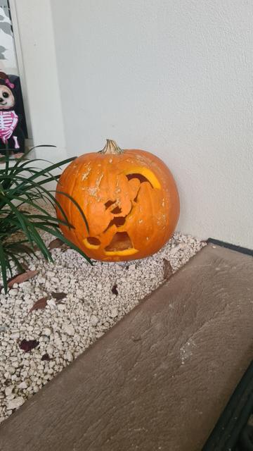 An orange pumpkin on a white pebble garden bed between green plants and brown concrete path. The orange pumpkin is carved with Mary poppins holding an umbrella.